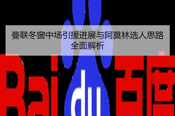曼联冬窗中场引援进展与阿莫林选人思路全面解析